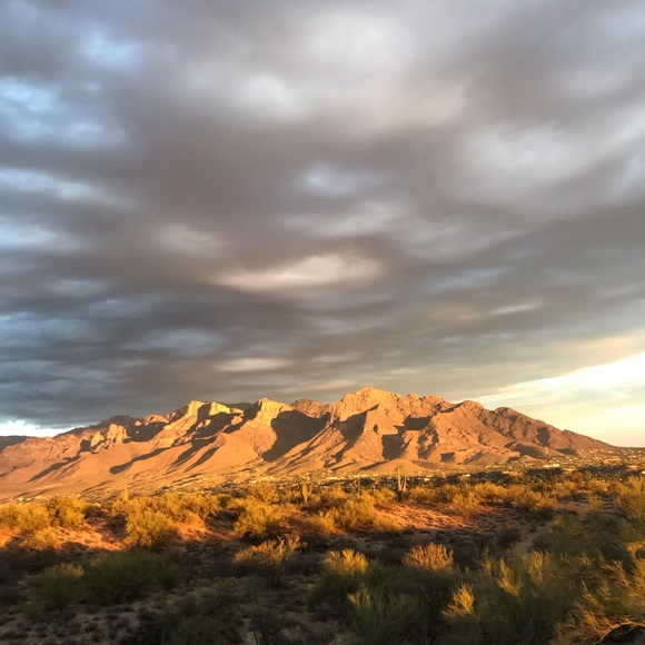 Thank you for stopping by! ๐๐ - Picture 3 of 5